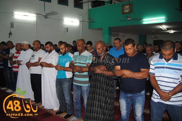 trawe7 zatona (34).JPG